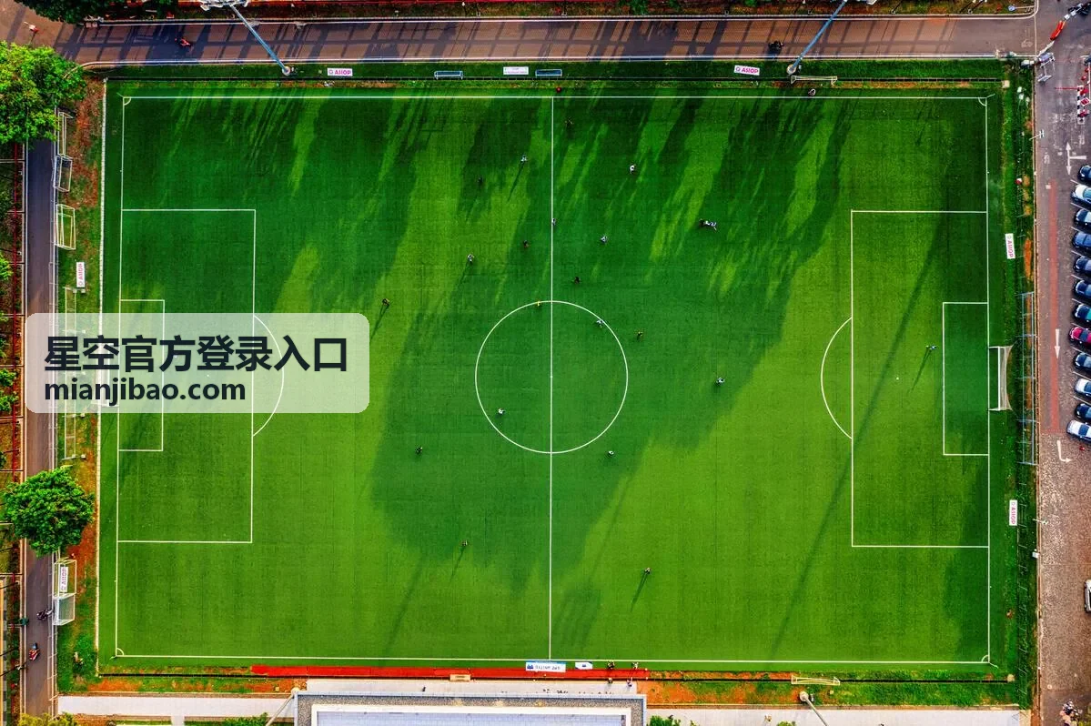 星空官方登录入口成员身份登录验证设置界面