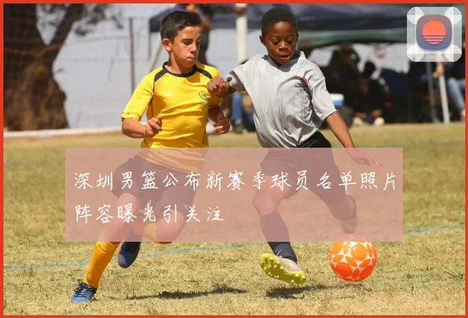 深圳男篮公布新赛季球员名单照片阵容曝光引关注