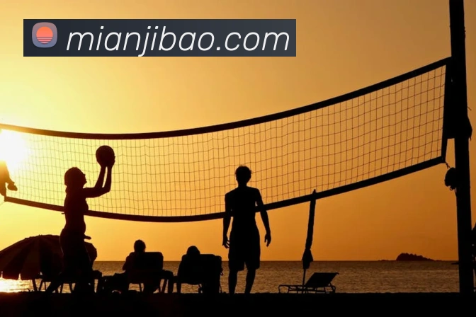 App Interface Preview